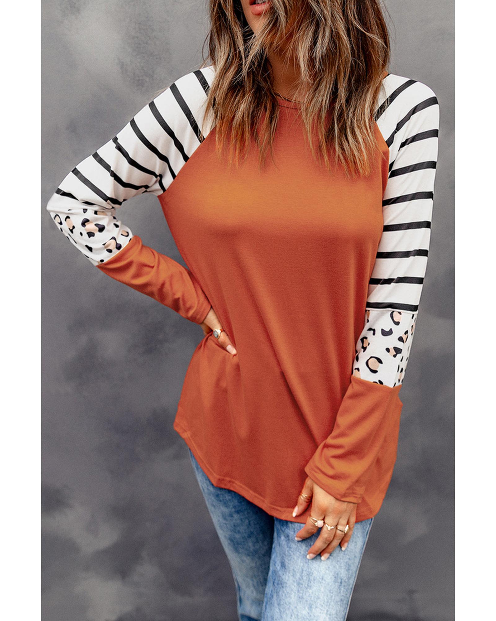 Azura Exchange Animal Print Long Sleeve Top with Striped Colorblock - XL