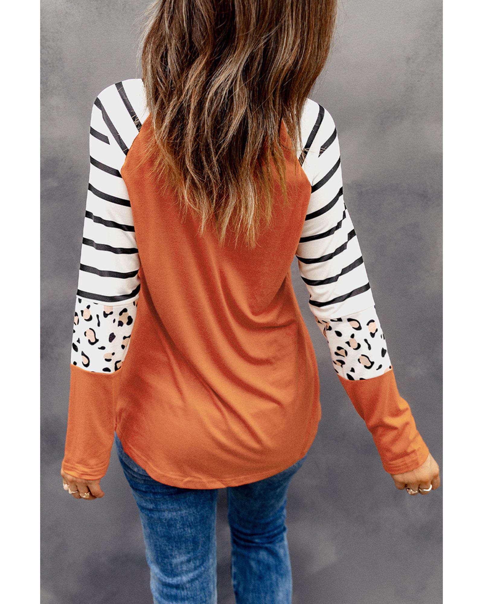 Azura Exchange Animal Print Long Sleeve Top with Striped Colorblock - XL