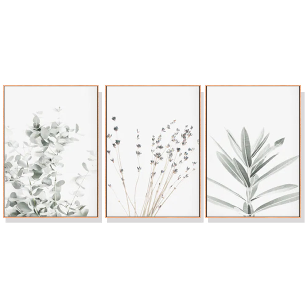 Wall Art 40cmx60cm Lavender Eucalyptus 3 Sets Wood Frame Canvas